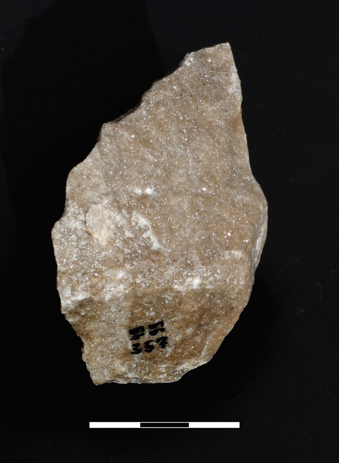 17 pav. Dantytas gremžtas (?), Verbiškių 1, LNM (V. Balkūno nuotrauka) / Fig. 17. Denticulate quartzite tool (?) from Verbiškės 1 site