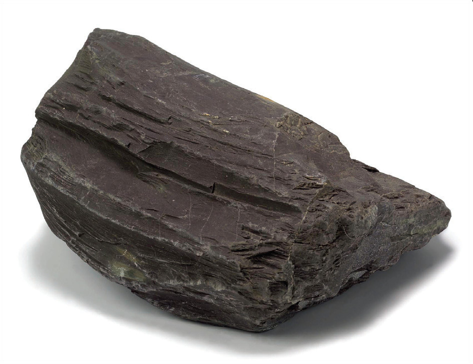 13 pav. Skalūnas / Fig. 13. Slate