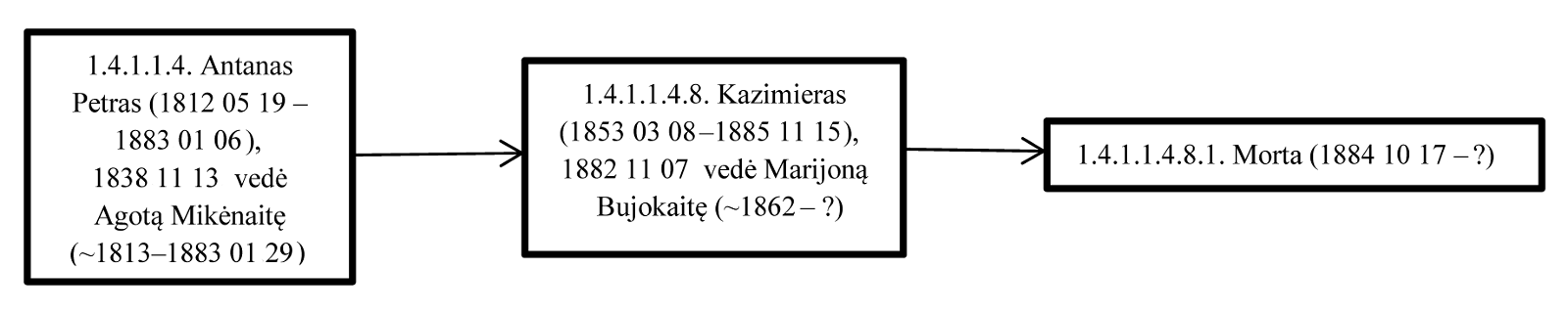 Šalutinė giminės linija