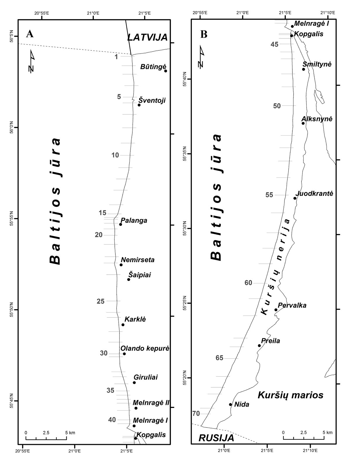 1 pav. Tyrimų rajonas: A – žemyno krantas, B – Kuršių nerija. 1–70 – matavimo profilių vietos / Fig. 1. Location map: A is mainland coast, B is Curonian Spit. 1–70 are cross-shore levelling sites