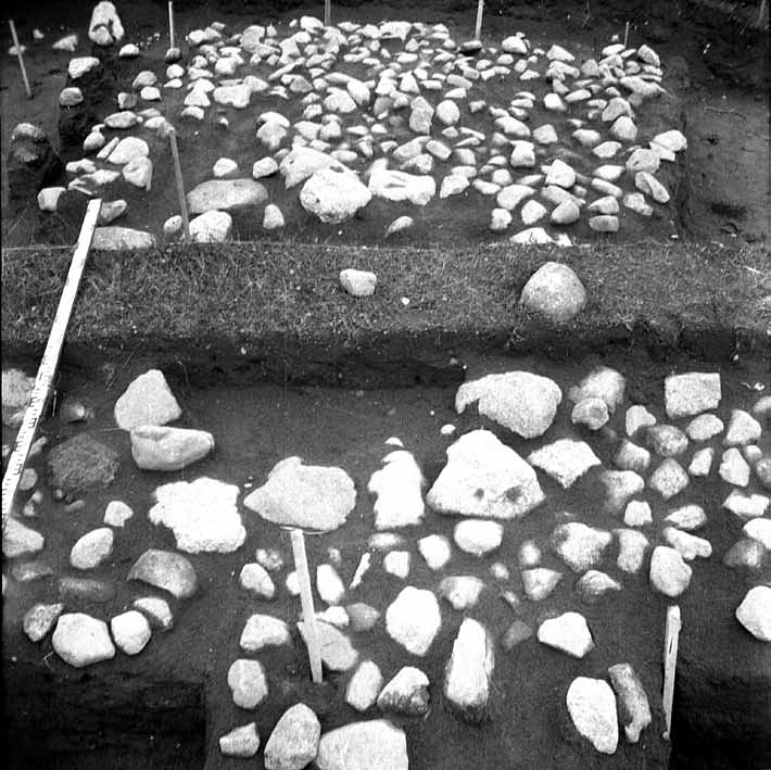 1 pav. Kurmaičių pilkapio nr. 8 akmenų grindinys. P. Kulikausko nuotr. (LIIBR, f. 1, neg. nr. 1312) / Fig. 1. The stone pavement of Kurmaičiai barrow No. 8. Photograph by P. Kulikauskas (LIIBR, f. 1, neg. No. 1312)
