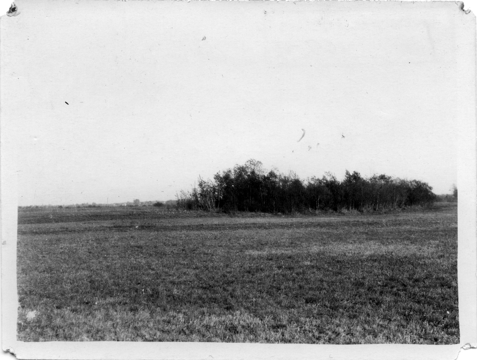 4 pav. Šyšos Švedkapiai 1953 m. B. Ščeponavičiaus nuotrauka iš Šilutės muziejaus fondų (ŠM 169-F) / Fig. 4. Švedkapiai at Šyša, 1953 (photo: B. Ščeponavičius, Šilute Museum, SM 169-F)