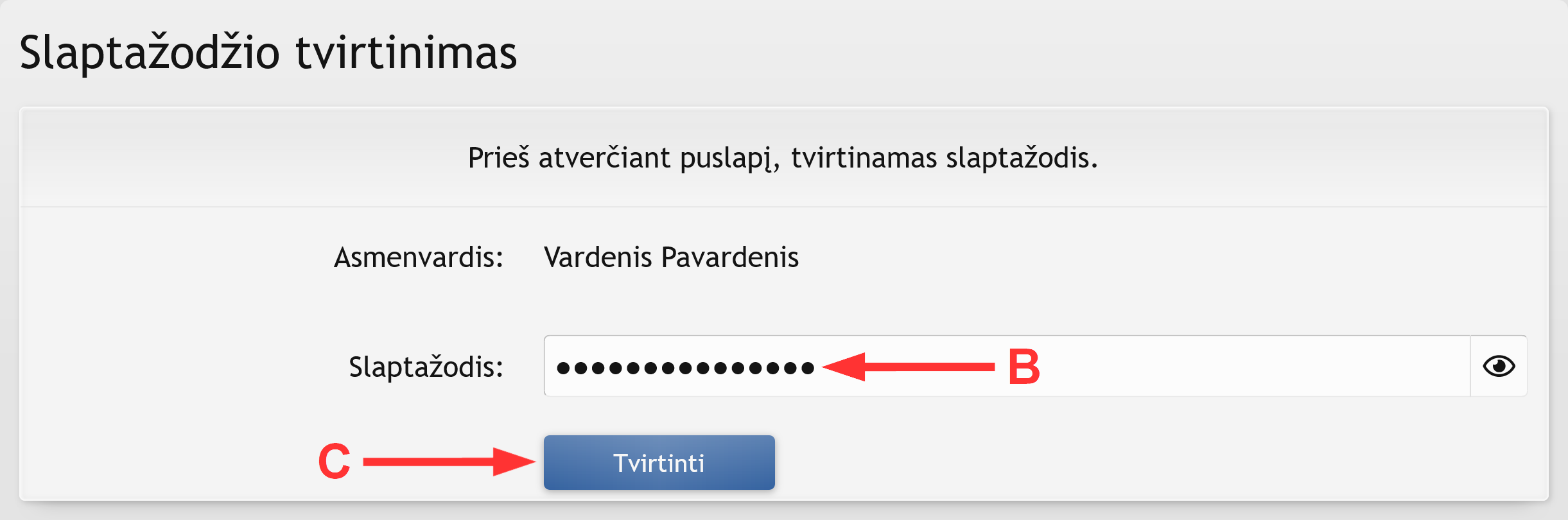 9. Įvedamas ir tvirtinamas slaptažodis